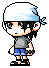 Lavis